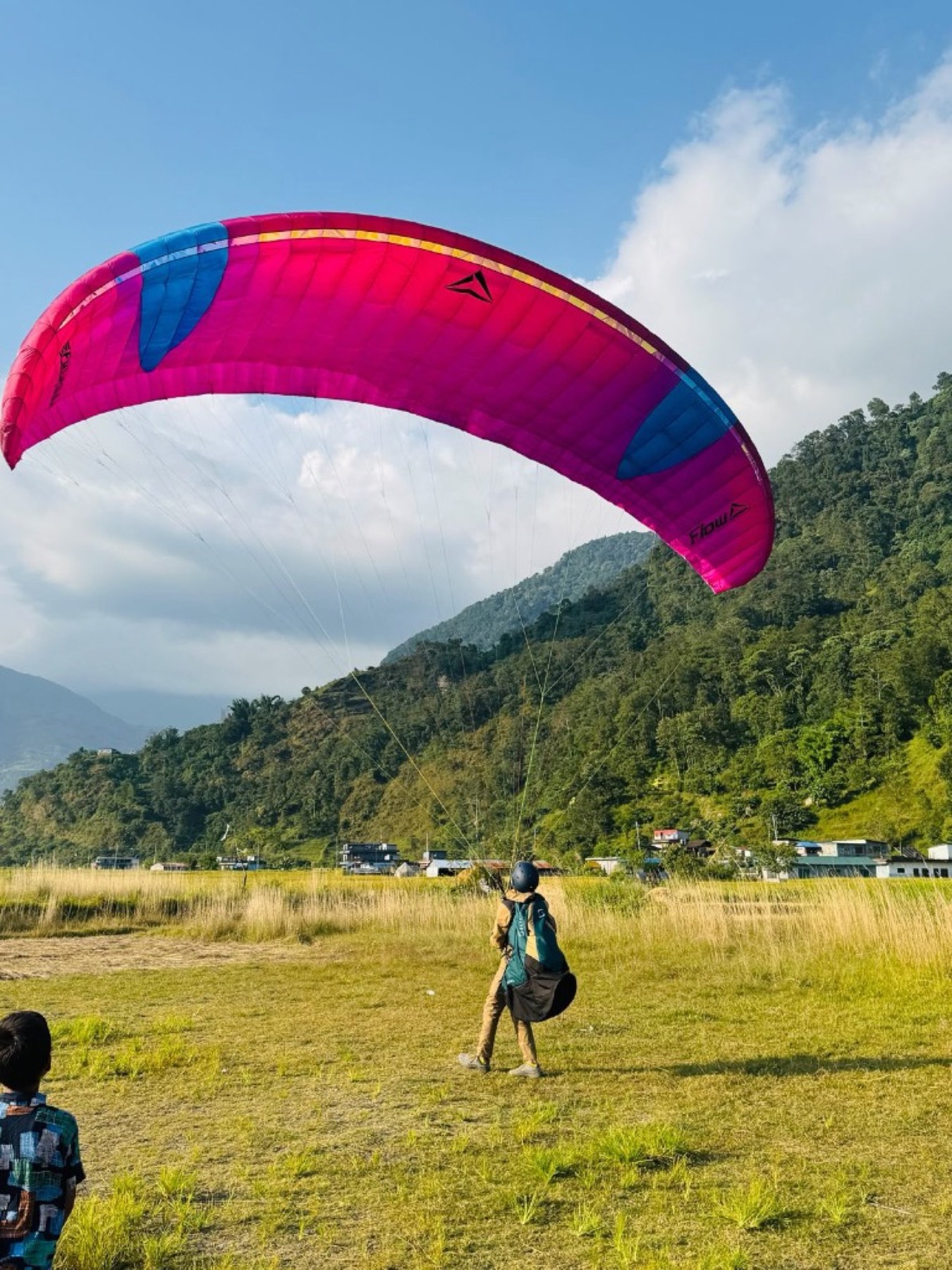 A pilot walks beneath an inflated pink and blue paraglider in a valley field