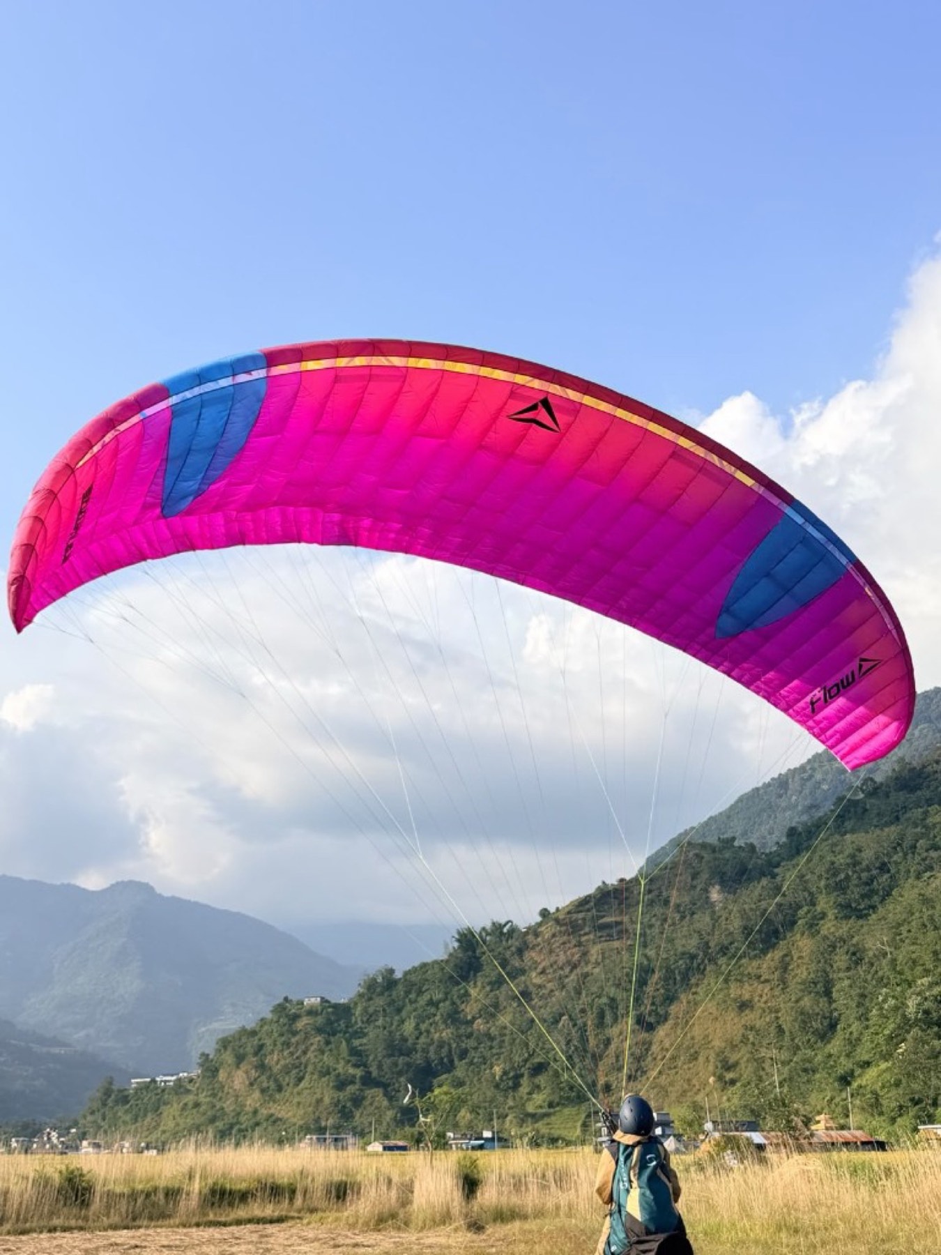 A pilot in a helmet stands in a grassy field beneath a pink and blue paraglider, forested hills behind